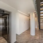 Atopetra فيلة بروتاراس